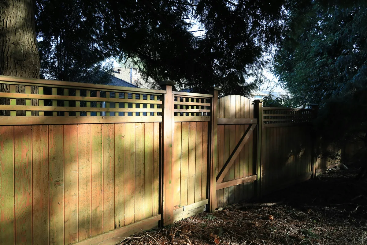 Wooden privacy fence and gate beneath mature trees.
